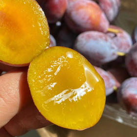 头茬法兰西西梅，特大果，高山自然生长，个头适中，独特的玫瑰香气，颜色➕硬度➕果粉➕口感，糖24，2斤/盒