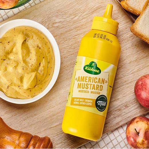 冠利美式芥末酱255g/瓶 商品图3