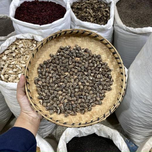 辣木籽 商品图0