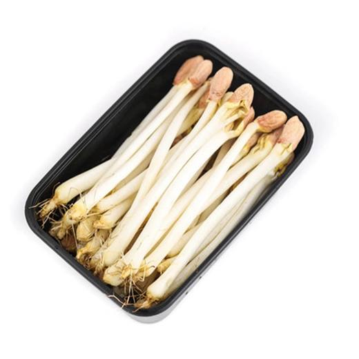 新鲜花生芽500g 商品图4