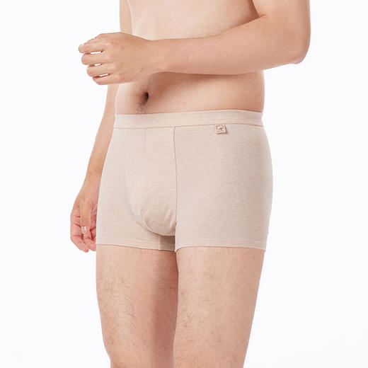 都市丽人都市锋尚内裤简约基础平角裤彩棉男士内裤FKTCD6 商品图2