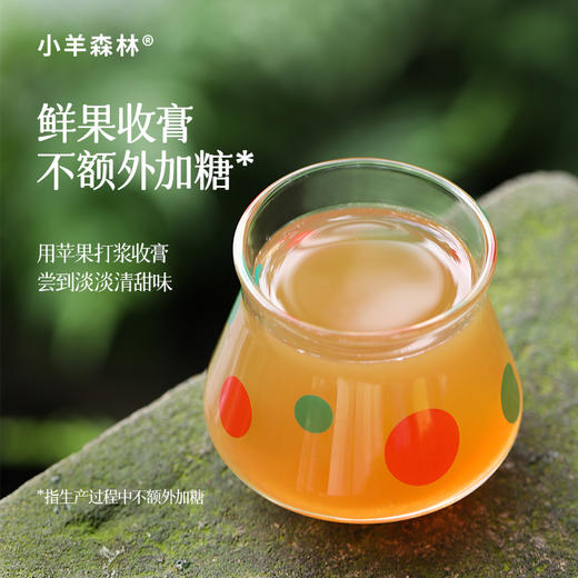 「乌梅三豆膏」古方复配 酸甜可口 浇灭火苗 商品图4