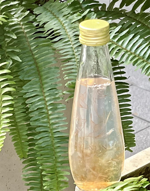 桃胶燕窝饮 200ml*6瓶 神仙养生饮品 喝出嘭嘭水润肌 甄选原料 品质滋养 开盖即食 商品图3