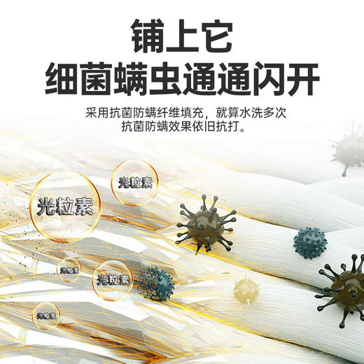 抗菌防螨席梦思保护垫 商品图1