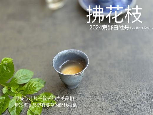 【2024春茶来了】2024荒野白牡丹《拂花枝》，低配的“荒野牡丹王”，清雅的梅花香，配上野有蔓草之味，冷艳绝伦 商品图11