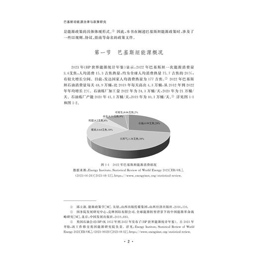 巴基斯坦能源法律与政策研究/文绪武著/浙江大学出版社 商品图4