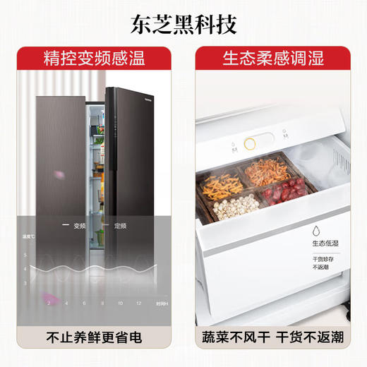 东芝冰箱（12993）600升双门对开门智能家电生态柔感调湿雾化保鲜电冰箱GR-RS625WE-PM137绸缎灰 商品图2