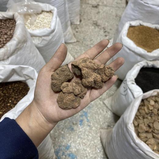 朱砂莲 商品图3