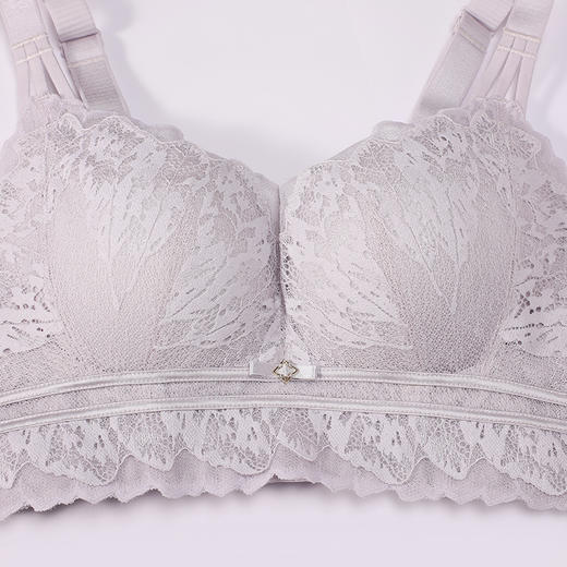 都市丽人调整型内衣美体纤塑塑身文胸蕾丝A:加加厚B:中厚塑身内衣5/8杯四排扣LJT1K1 商品图6
