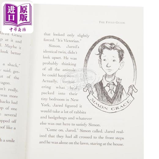 【中商原版】奇幻精灵事件簿1 野外指南 The Field Guide 英文原版 Tony Diterlizzi 国际流行小说 奇幻冒险 商品图3