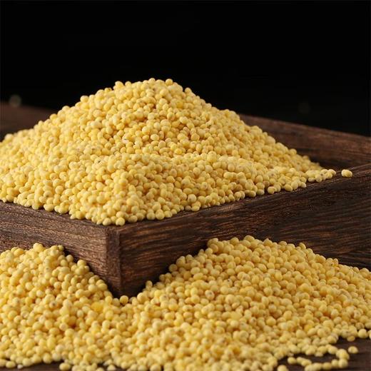 正耕 有机大黄米 420g 商品图3