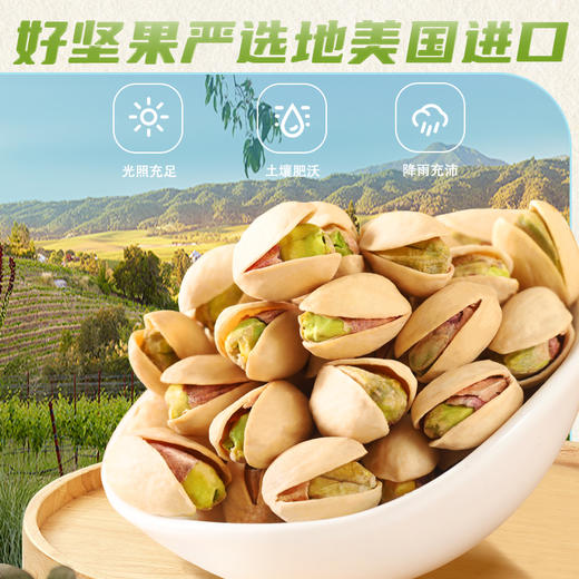 阿明 开心果 198g 商品图1