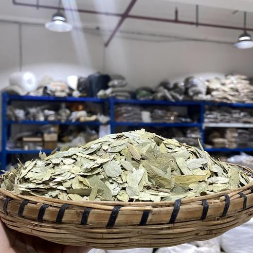 番泻叶 商品图1