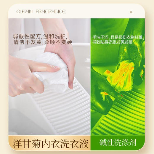 梦飞亚洋甘菊内衣洗衣液 清新去异味去黄不发硬洗衣液 商品图3