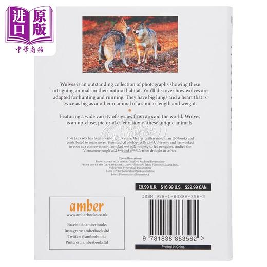 【中商原版】迷你百科系列 狼 Wolves 英文原版 Tom Jackson 自然科学 动物百科 科普与科学通识 科学百科 商品图2