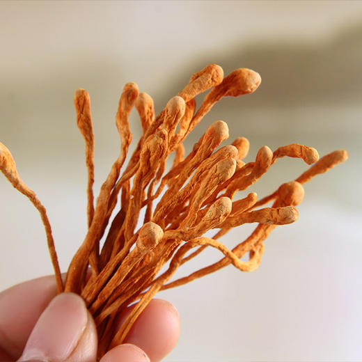 山鸿牌蛹虫草150克 商品图3