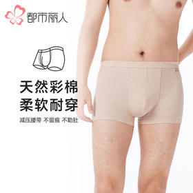 都市丽人都市锋尚内裤简约基础平角裤彩棉男士内裤FKTCD6