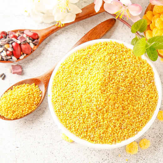 鲜禾鲜佑晨光-黄小米2.5kg 商品图1
