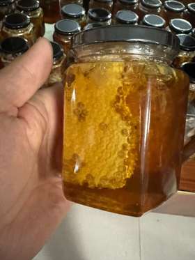 【雪康食品】蜂巢百花蜜500g/瓶