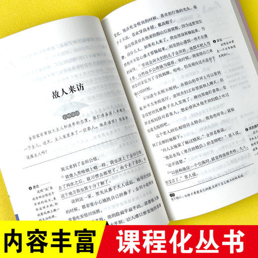 爱阅读课程化丛书快乐读书吧我是猫 无障碍精读版 商品图1