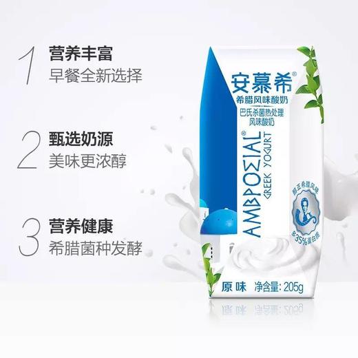 安慕希伊利希腊风味原味205g*10盒整箱酸奶生牛乳营养早餐 商品图2