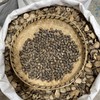 辣木籽 商品缩略图2