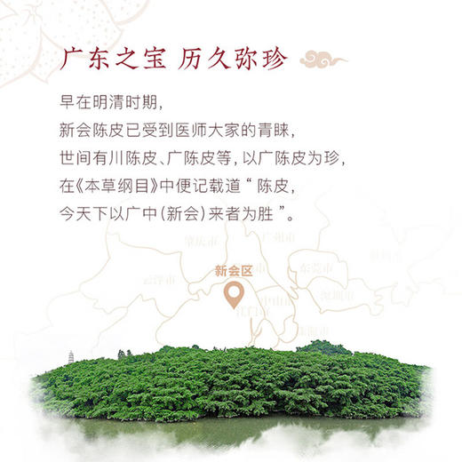 大益 茶叶 花草茶 新会陈皮三年陈化 135g/罐 送母亲礼物 礼盒装 商品图2