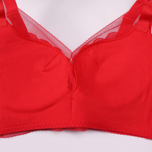 都市丽人调整型内衣舒软挺塑塑身文胸蕾丝A:加厚B:中厚塑身内衣3/4杯四排扣LJT4H3 商品图10