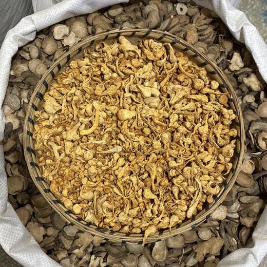 孢子头虫草花 商品图2