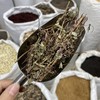 叶下珠 云南西双版纳出产 商品缩略图4