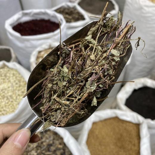 叶下珠 云南西双版纳出产 商品图4