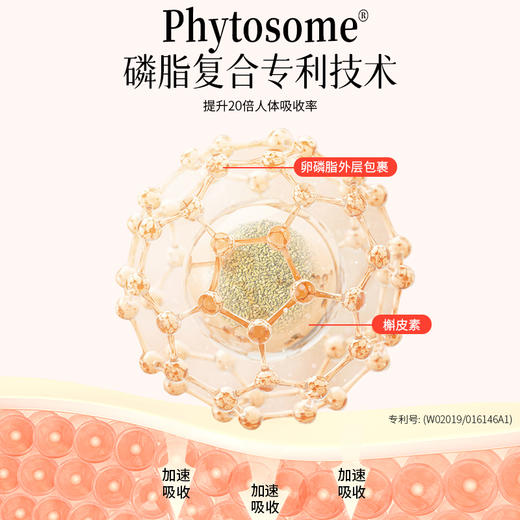 养瑞和丨姜黄灵芝草本固体饮料·槲皮素·15袋/盒·姜黄·灵芝·槐米·蔓越莓·红枣·肉桂·甘草 商品图5