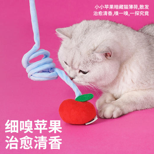 zeze圈圈象上弹力玩具-B （包邮） 商品图3