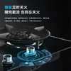 老板（Robam）燃气灶家用5.0kW大火力70%高热效易打理 双灶具灶台一级能效 钢化玻璃面板台嵌两用9B312 液化气 商品缩略图2