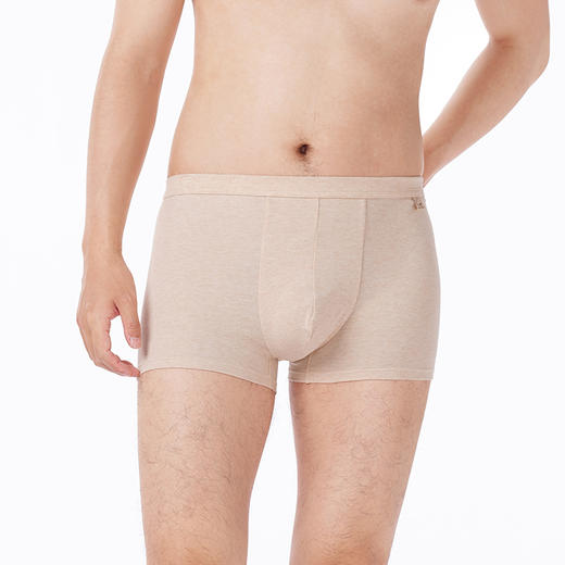 都市丽人都市锋尚内裤简约基础平角裤彩棉男士内裤FKTCD6 商品图1