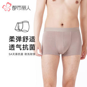都市丽人都市锋尚内裤简约基础平角裤40S人棉男士内裤FKTBB1