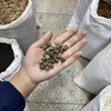 辣木籽 商品缩略图3