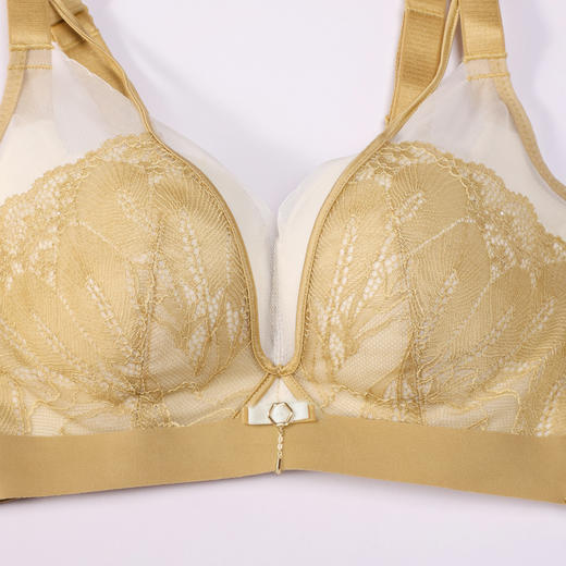 都市丽人调整型内衣舒软挺塑塑身文胸蕾丝A:加厚B:中厚塑身内衣3/4杯四排扣LJT1K8 商品图5