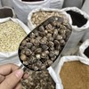 辣木籽 商品缩略图4