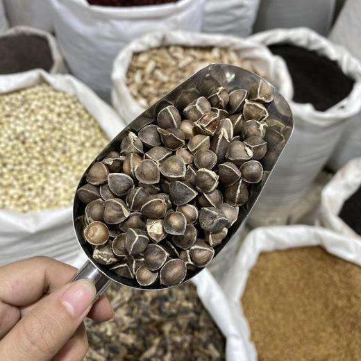 辣木籽 商品图4