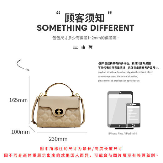 Safiya/索菲娅2024新款二层牛皮时尚小方包手机包手提单肩斜挎包女 SF42215138 商品图10