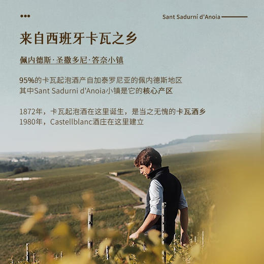 【卡瓦名家·荣誉出品】西班牙瑞雪CAVA天然半干型起泡酒 法定产区DO级 11.5%VOL 商品图7