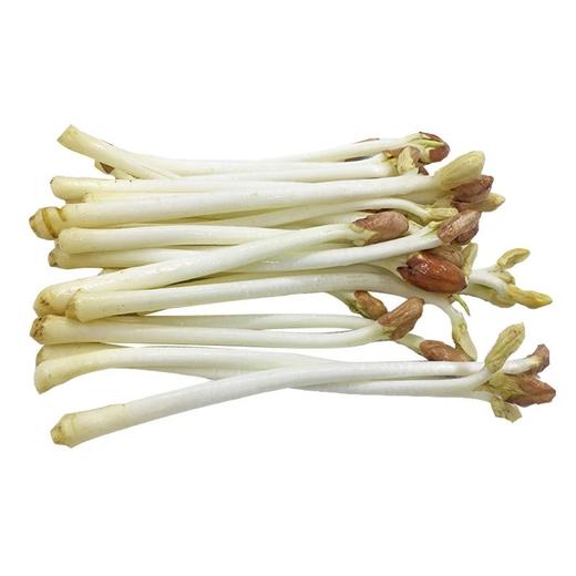 新鲜花生芽500g 商品图2