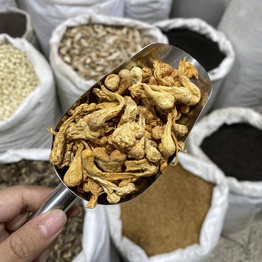 孢子头虫草花 商品图3