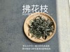 【2024春茶来了】2024荒野白牡丹《拂花枝》，低配的“荒野牡丹王”，清雅的梅花香，配上野有蔓草之味，冷艳绝伦 商品缩略图1