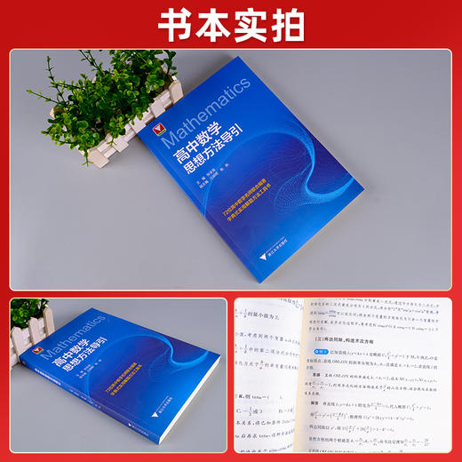 小学初中高中数学思想方法与导引浙大数学优辅上下册数学解题技巧辅导资料中小学生2025中高考备考 商品图3