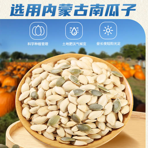 阿明 原味南瓜子180g*2 商品图0