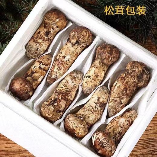 【雪康食品】新鲜野生松茸2斤装 商品图7