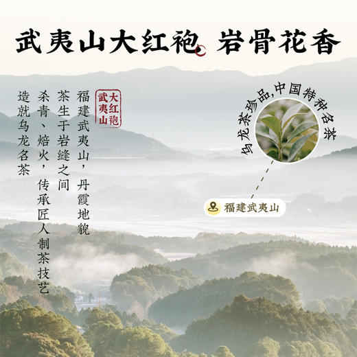 【金桂乌龙】九阳豆浆茉莉龙井金桂乌龙豆乳茶奶茶0糖添加下午茶早餐桂花 商品图2