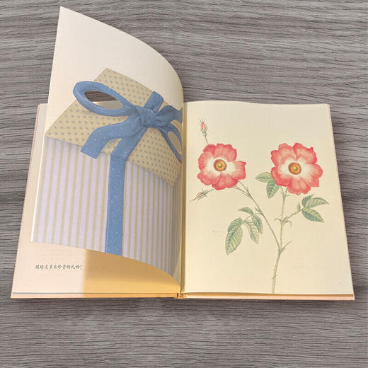 国际大奖绘本接力精选8册 商品图4